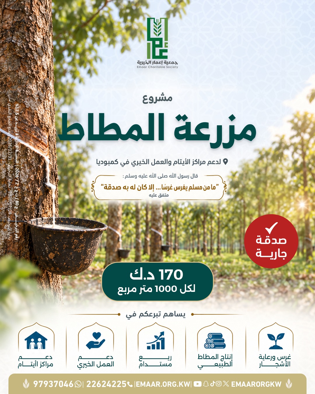 مشروع مزرعة المطاط